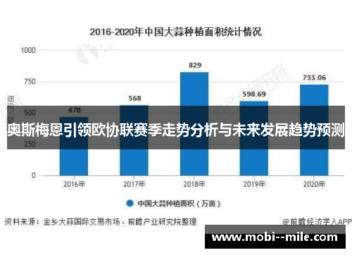 奥斯梅恩引领欧协联赛季走势分析与未来发展趋势预测