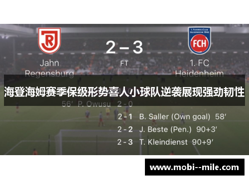 海登海姆赛季保级形势喜人小球队逆袭展现强劲韧性