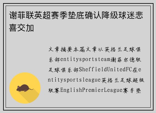 谢菲联英超赛季垫底确认降级球迷悲喜交加 谢菲联英超赛季垫底确认降级球迷悲喜交加
